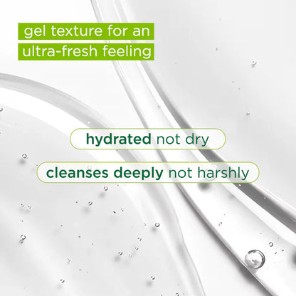 Simple Refreshing Facial Wash – Gentle Soap-Free Cleanser